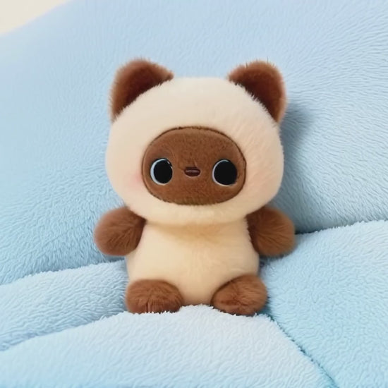 A short, static video of a cute plush toy cat. It has a cream-coloured body and is wearing a hood, showing a brown face with large, kind-looking dark eyes and rosy cheeks. The kitty is sitting on a soft, light-blue cushioned surface.