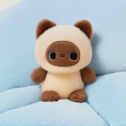 A short, static video of a cute plush toy cat. It has a cream-coloured body and is wearing a hood, showing a brown face with large, kind-looking dark eyes and rosy cheeks. The kitty is sitting on a soft, light-blue cushioned surface.